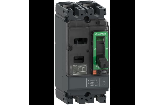 NSX100M 25kA AC-DC 2P 100 A TMD, C10M2TM100, LV POWER CIRCUIT BREAKERS AND SWITCHES, MCCB OPTIMUM OFFER, COMPACT NSX - SCHNEIDER ELECTRIC (pavadinimas tikslinamas)
