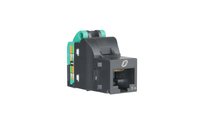 Lizdas p/t kompiuterinis RJ45 Renova - SCHNEIDER ELECTRIC