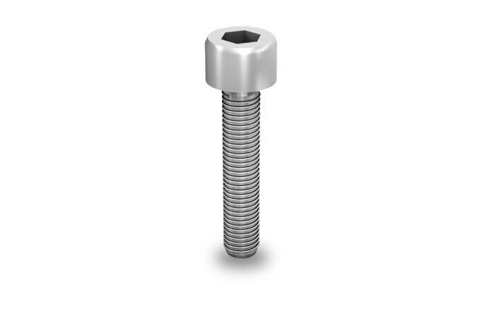 Varžtas lizdo galvute M8x30 WS 6mm V2A - K2 SYSTEMS
