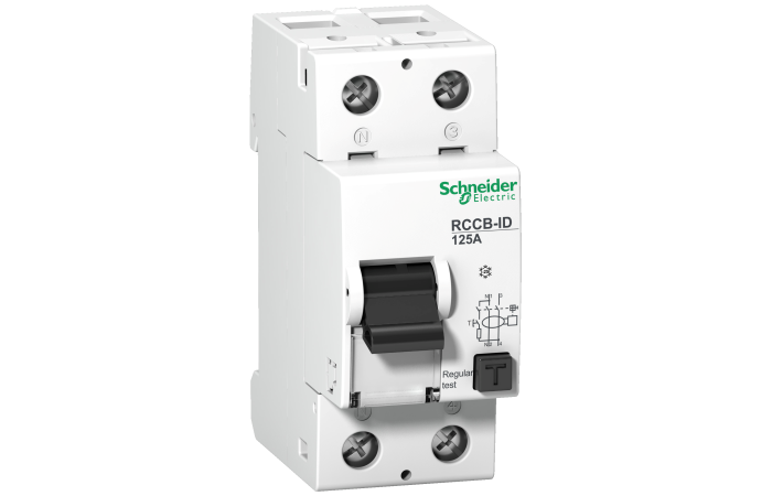 RCCB 2P 125A 30MA AC, 16966, FINAL DISTRIBUTION DEVICES AND SYSTEMS, MULTI9 REMAINING, RCCB - SCHNEIDER ELECTRIC (pavadinimas tikslinamas)