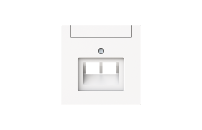 Dangtelis kompiuteriniam lizdui dvigubas RJ45 baltos matinės spalvos 1803-02-44M-500 Busch-Art Linear - ABB