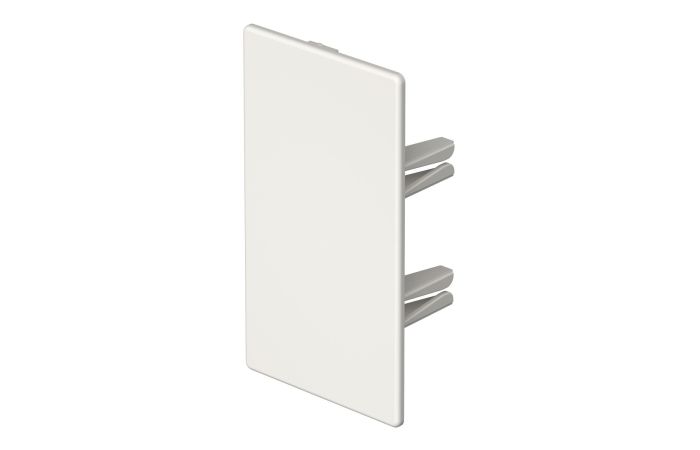 Galinis dangtelis behalogenis 60x110mm Polikarbonatas/akrilnitrilo-butadieno-stirenas baltas RAL 9010 WDKH-E60110RW - OBO BETTERMANN (pavadinimas tikslinamas)