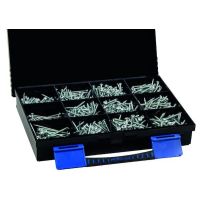 Rinkinys medvaržčių žvaigždučių TX (4.0-5.0mm x 30-60mm) PSKPHST [rinkinyje 970 vnt.] - PROTEC