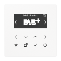 Radijas skaitmeninis baltas DAB LS - JUNG