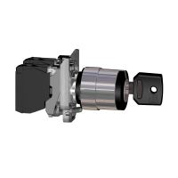 ATEX KEY SELECTOR SWITCH, XB4BG41EX, CONTROL & SIGNALLING, DEDICATED COMMAND & SIGNALLING UNITS, DIA 22 METAL - APPLICATION - SCHNEIDER ELECTRIC (pavadinimas tikslinamas)