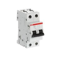S202-B20 AUT. JUNGIKLIS 20 A 2P - ABB (pavadinimas tikslinamas)