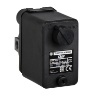 Jutiklis slėgio 12bar 4xG1/4 3nc su jungikliu IP54 XMPE12C2431 - TELEMECANIQUE