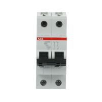 S202M-B06 AUT. JUNGIKLIS 6 A 2P - ABB (pavadinimas tikslinamas)