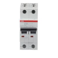 S202M-K1,6UC AUT.JUNGIKLIS 2P 1,6A - ABB (pavadinimas tikslinamas)