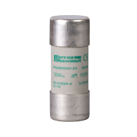 Saugiklis 100A 500V 22x58mm aM TeSys - SCHNEIDER ELECTRIC