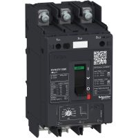 Motor Breaker GV4LE Ma 0A 100kA lug, GV4LE80S6, , CONTACTORS & MOTOR PROTECTION STANDARD OFFER < 150, GV4 MOTOR CIRCUIT BREAKERS - SCHNEIDER ELECTRIC (pavadinimas tikslinamas)