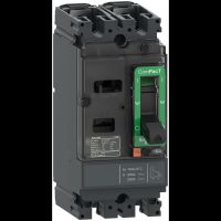 NSX160S 70kA AC-DC 2P 125 A TMD, C16S2TM125, LV POWER CIRCUIT BREAKERS AND SWITCHES, MCCB OPTIMUM OFFER, COMPACT NSX - SCHNEIDER ELECTRIC (pavadinimas tikslinamas)