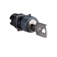 PERJUNGIKLIO GALVA 3 POZ. SU RAKTU, ZB6AGQ, CONTROL & SIGNALLING, PUSH BUTTONS, PILOT LIGHTS & CONTROLS, DIA 16 PLASTIC MODULAR - SCHNEIDER ELECTRIC (pavadinimas tikslinamas)