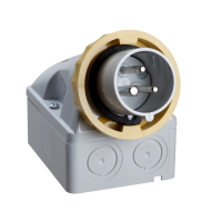 PLUG WALL MOUNT 32A 2P-E 100-130V IP67 5, 83563, INDUSTRIAL SOCKET OUTLETS, PRATIKA LV SOCKETS AND PLUGS, SOCKET LV MOB.16 AN - SCHNEIDER ELECTRIC (pavadinimas tikslinamas)
