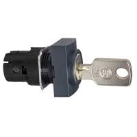 RECTANGULAR SELEC TO R SWITCH HEAD LOCKA, ZB6DGN, CONTROL & SIGNALLING, PUSH BUTTONS, PILOT LIGHTS & CONTROLS, DIA 16 PLASTIC MODULAR - SCHNEIDER ELECTRIC (pavadinimas tikslinamas)