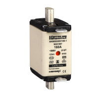 Saugiklis DF2. Saugiklio dydis: 00. Tipas: peilinis, DF2FGN160, CONTACTORS & MOTOR PROTECTION, SWITCHES AND FUSES, FUSES - SCHNEIDER ELECTRIC (pavadinimas tikslinamas)