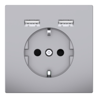 Schuko SO with USB cha r TP stst SDsg, MTN2366-6036, WIRING DEVICES, MERTEN, WD RANGES FLUSH, WHITE AND PW (T0) - SCHNEIDER ELECTRIC (pavadinimas tikslinamas)