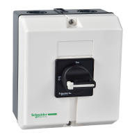 VARIO KIRTIKLIS 3P 22kW 50A IP65, VBF3GE, CONTACTORS & MOTOR PROTECTION, ENCLOSED STARTERS & ENCLOSURES, ENCLOSED STARTERS - SCHNEIDER ELECTRIC (pavadinimas tikslinamas)