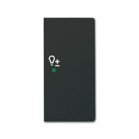 SRD-2-R-885 KLAVIŠAS 1KL.DEŠINĖ "DIMMER" - ABB (pavadinimas tikslinamas)