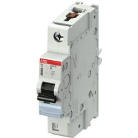 S401E-B25 AUT. JUNGIKLIS 1P 25A - ABB (pavadinimas tikslinamas)