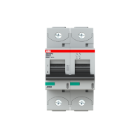 S802PV-SD63 KIRTIKLIS 2P 63A - ABB (pavadinimas tikslinamas)