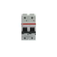 S802PV-M63-H AUT. JUNGIKLIS 2P 63A - ABB (pavadinimas tikslinamas)