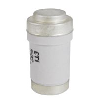 Saugiklis D03 gG 100A/400V - ETI (pavadinimas tikslinamas)