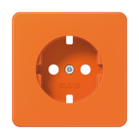 centre plate - JUNG (pavadinimas tikslinamas)