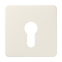 Centre plate for key switch - JUNG (pavadinimas tikslinamas)