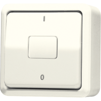 1-gang switch 10 AX / 250 V ~ - JUNG (pavadinimas tikslinamas)