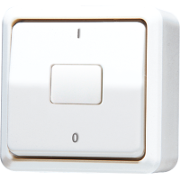 1-gang switch 10 AX / 250 V ~ - JUNG (pavadinimas tikslinamas)