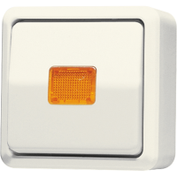 1-gang switch 10 AX / 250 V ~ with ind. - JUNG (pavadinimas tikslinamas)