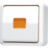 1-gang switch 10 AX / 250 V ~ with ind. - JUNG (pavadinimas tikslinamas)