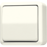1-gang switch 10 AX / 250 V ~ - JUNG (pavadinimas tikslinamas)
