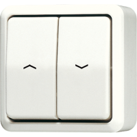 2-gang blind switch/push-button 10 AX - JUNG (pavadinimas tikslinamas)