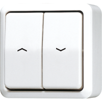 2-gang blind switch/push-button 10 AX - JUNG (pavadinimas tikslinamas)