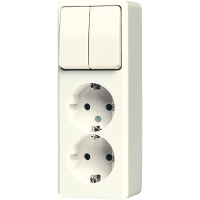 Combination 2-gang SCHUKO® socket - JUNG (pavadinimas tikslinamas)