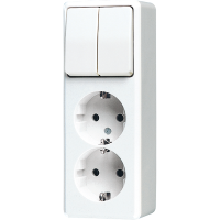 Combination 2-gang SCHUKO® socket - JUNG (pavadinimas tikslinamas)