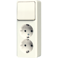 Combination 2-gang SCHUKO® socket - JUNG (pavadinimas tikslinamas)