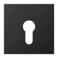centre plate f. key switch - JUNG (pavadinimas tikslinamas)