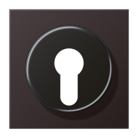 centre plate f. key switch - JUNG (pavadinimas tikslinamas)