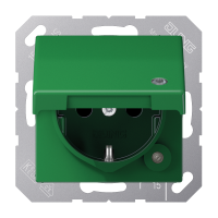 SCHUKO socket - JUNG (pavadinimas tikslinamas)