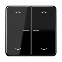 JUNG HOME push-button 2-gang with arrow - JUNG (pavadinimas tikslinamas)