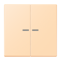 JUNG HOME push-button 2-gang - JUNG (pavadinimas tikslinamas)