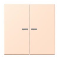 JUNG HOME push-button 2-gang - JUNG (pavadinimas tikslinamas)