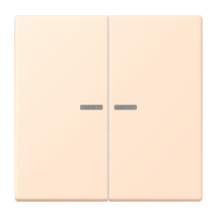 JUNG HOME push-button 2-gang - JUNG (pavadinimas tikslinamas)