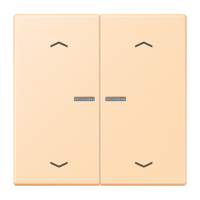 2-gang rocker with lens and arrow symbol - JUNG (pavadinimas tikslinamas)