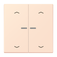 2-gang rocker with lens and arrow symbol - JUNG (pavadinimas tikslinamas)