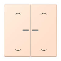 2-gang rocker with lens and arrow symbol - JUNG (pavadinimas tikslinamas)