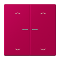 2-gang rocker with lens and arrow symbol - JUNG (pavadinimas tikslinamas)